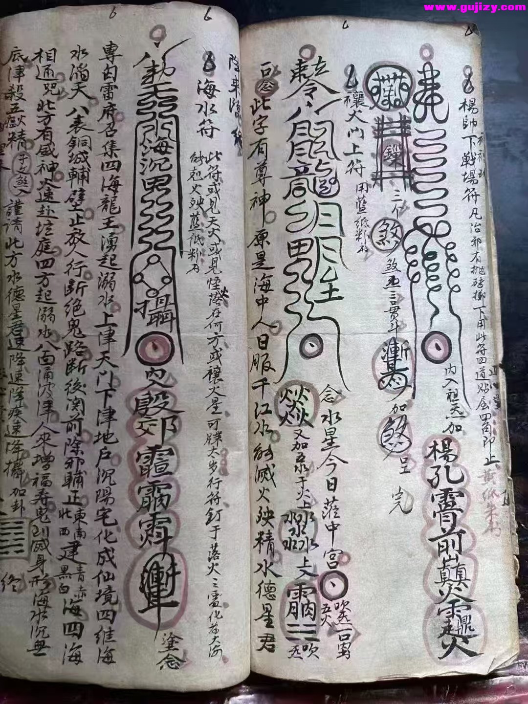 1738377245203.jpg