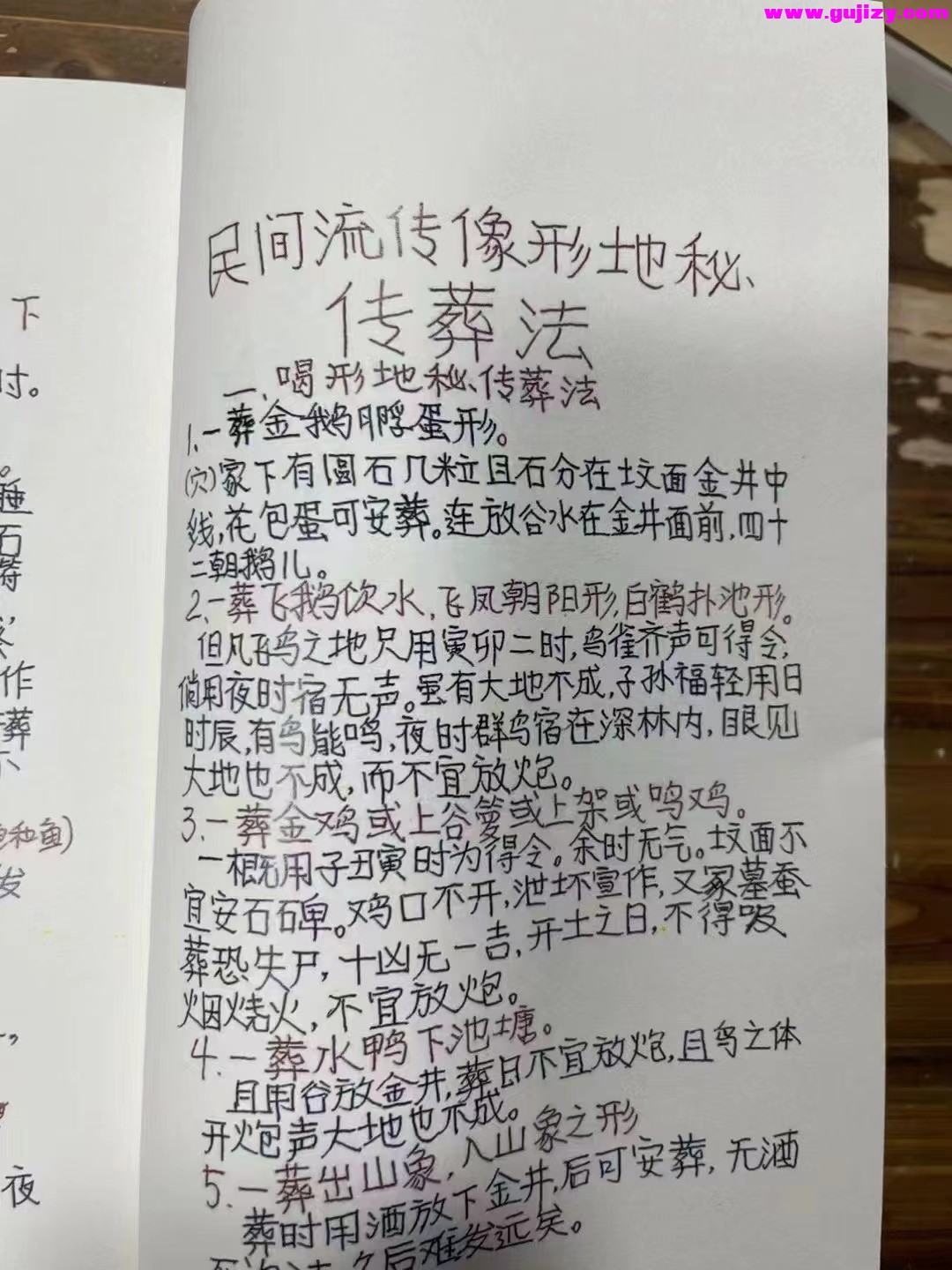 1722165135024.jpg