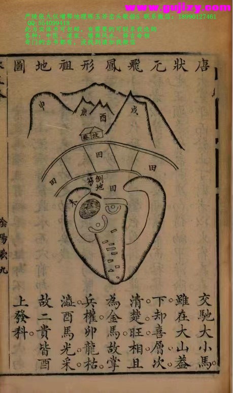 1723184556708.jpg