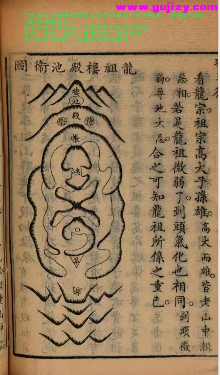 1723184561341.jpg