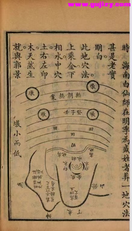 1723184572533.jpg