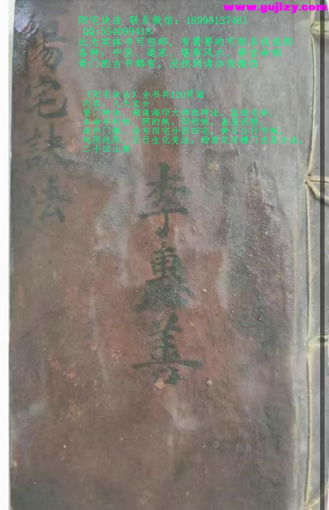 1737537047162.jpg