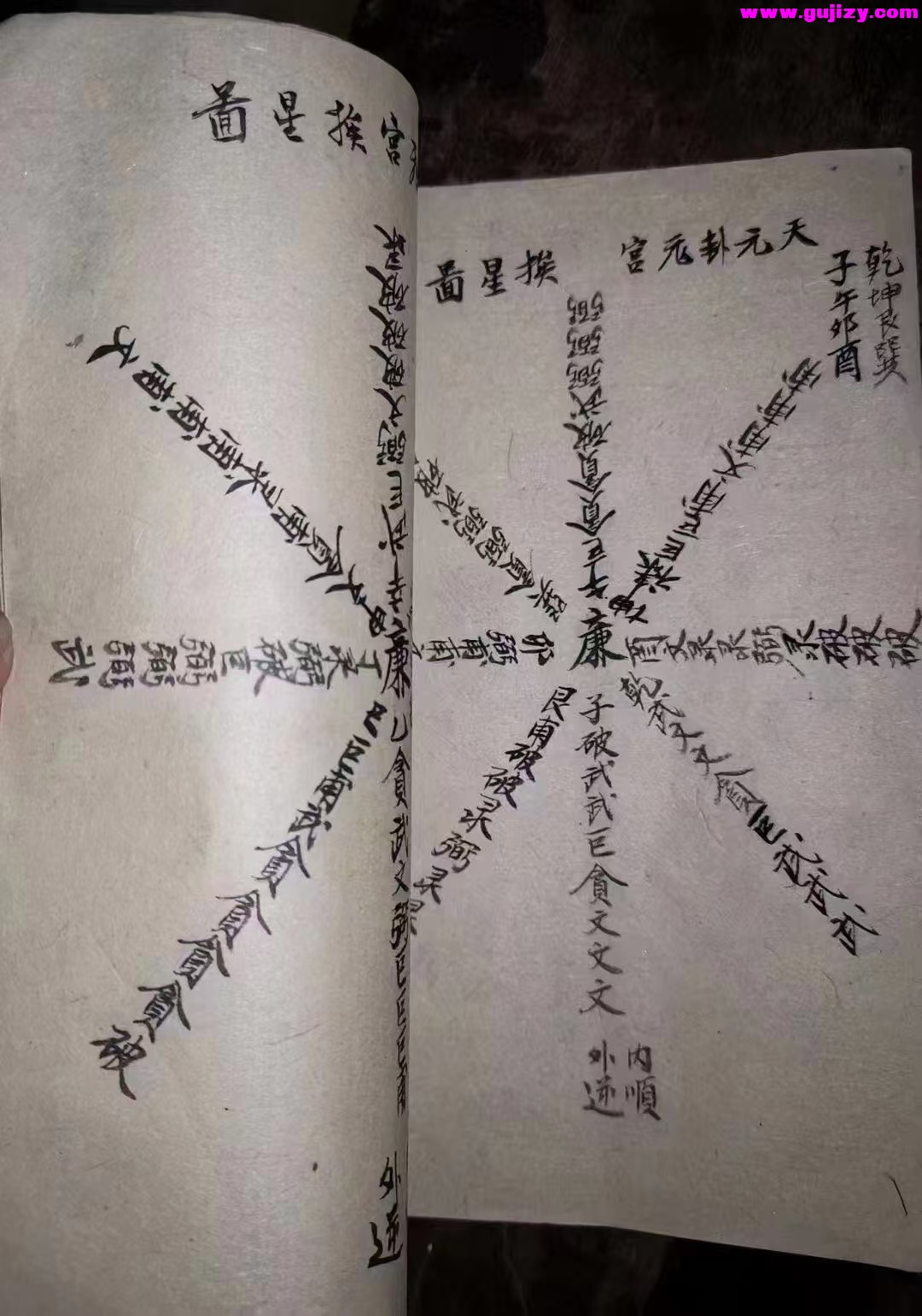 1739429528867.jpg