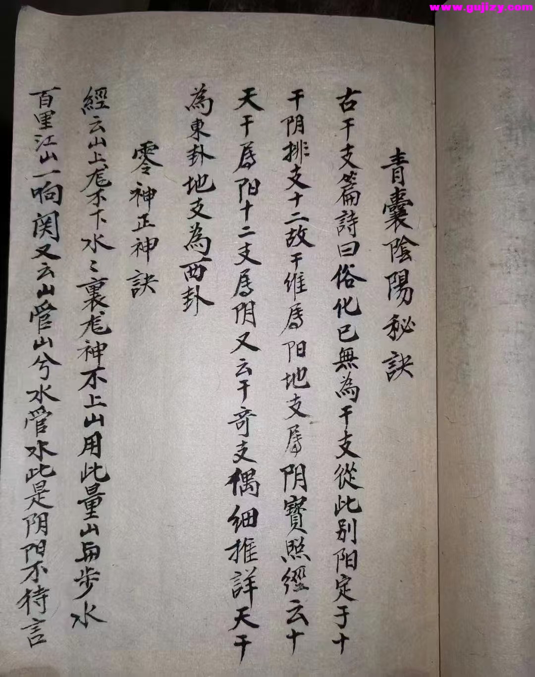 1739429525828.jpg