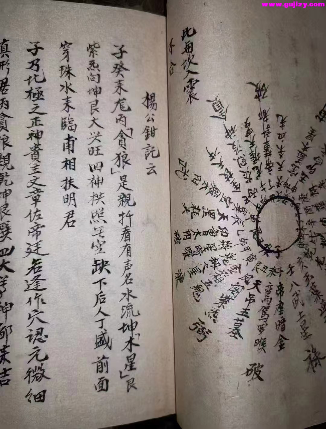 1739429530541.jpg