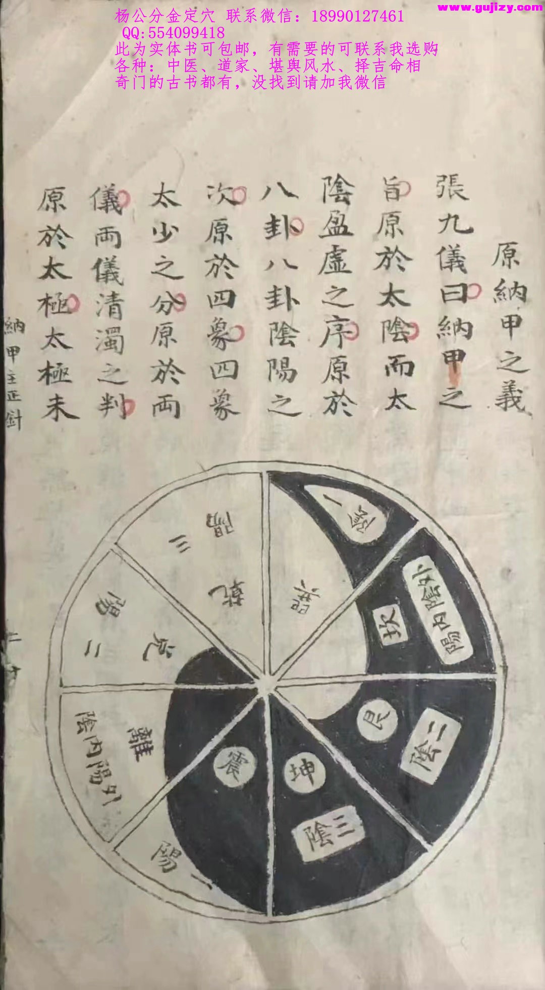1723202641605.jpg