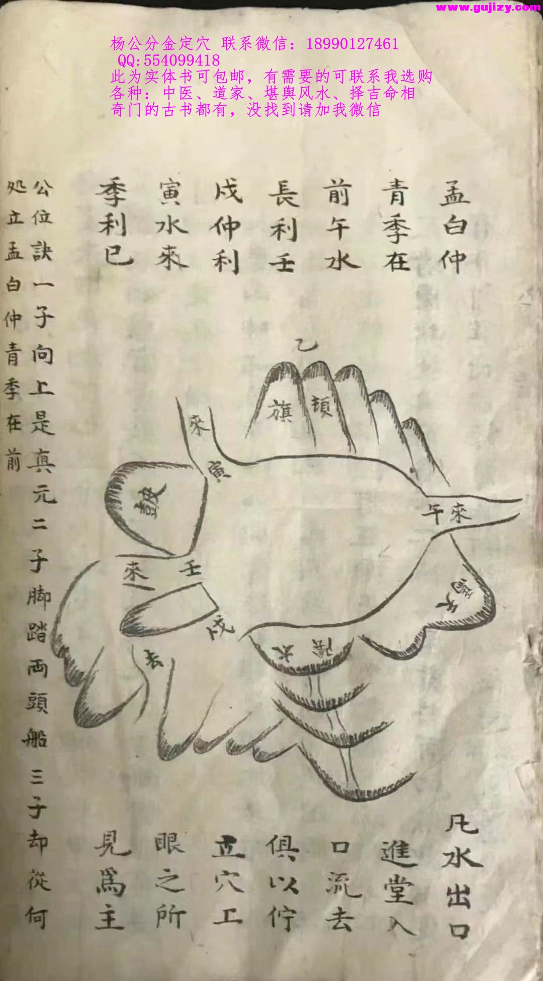 1723202643109.jpg