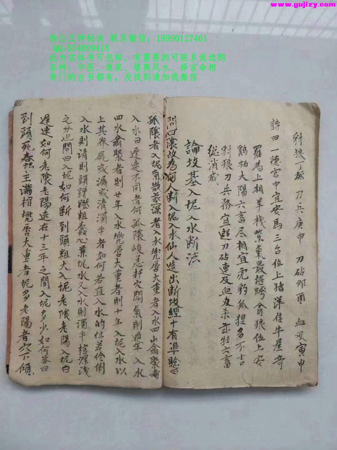 1723398491522.jpg