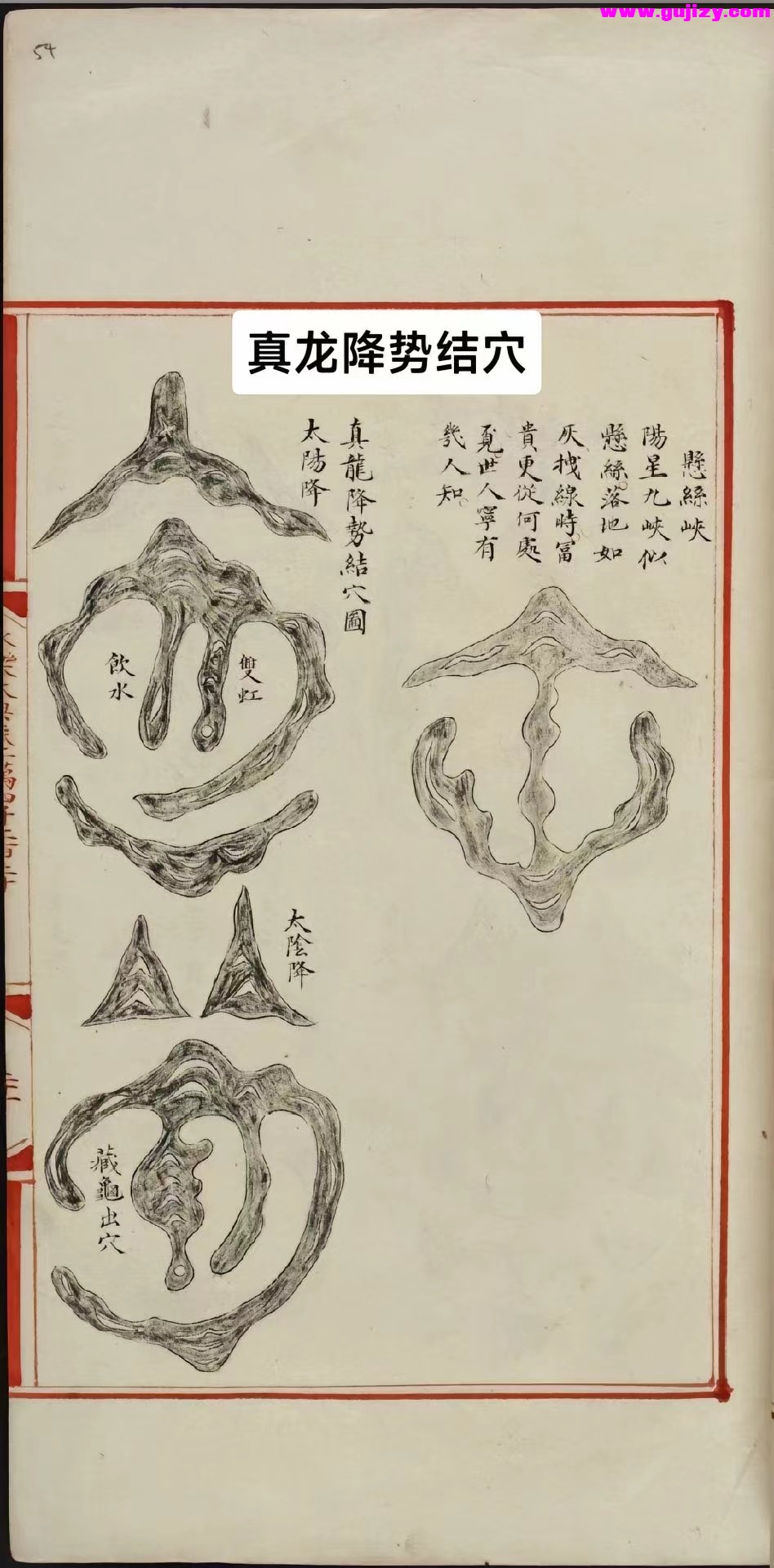 1723909464450.jpg