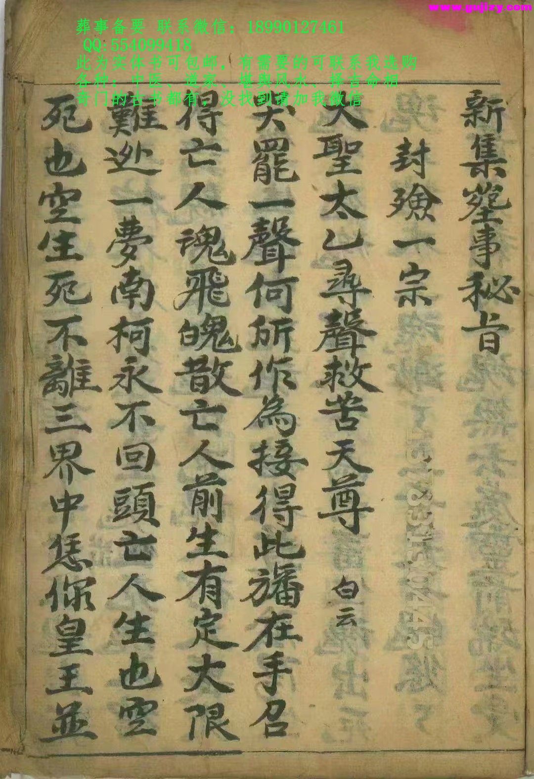1722164702555.jpg