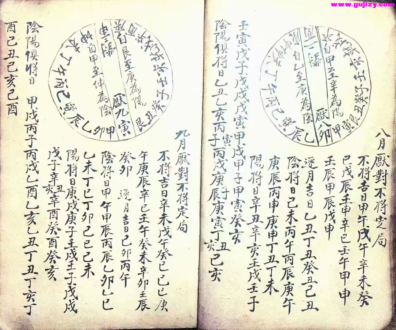 1739344581937.jpg