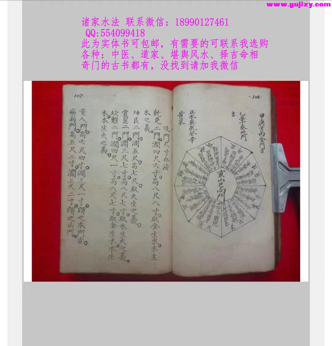 1723172137395.jpg