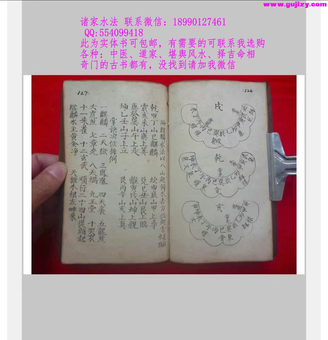 1723172147208.jpg