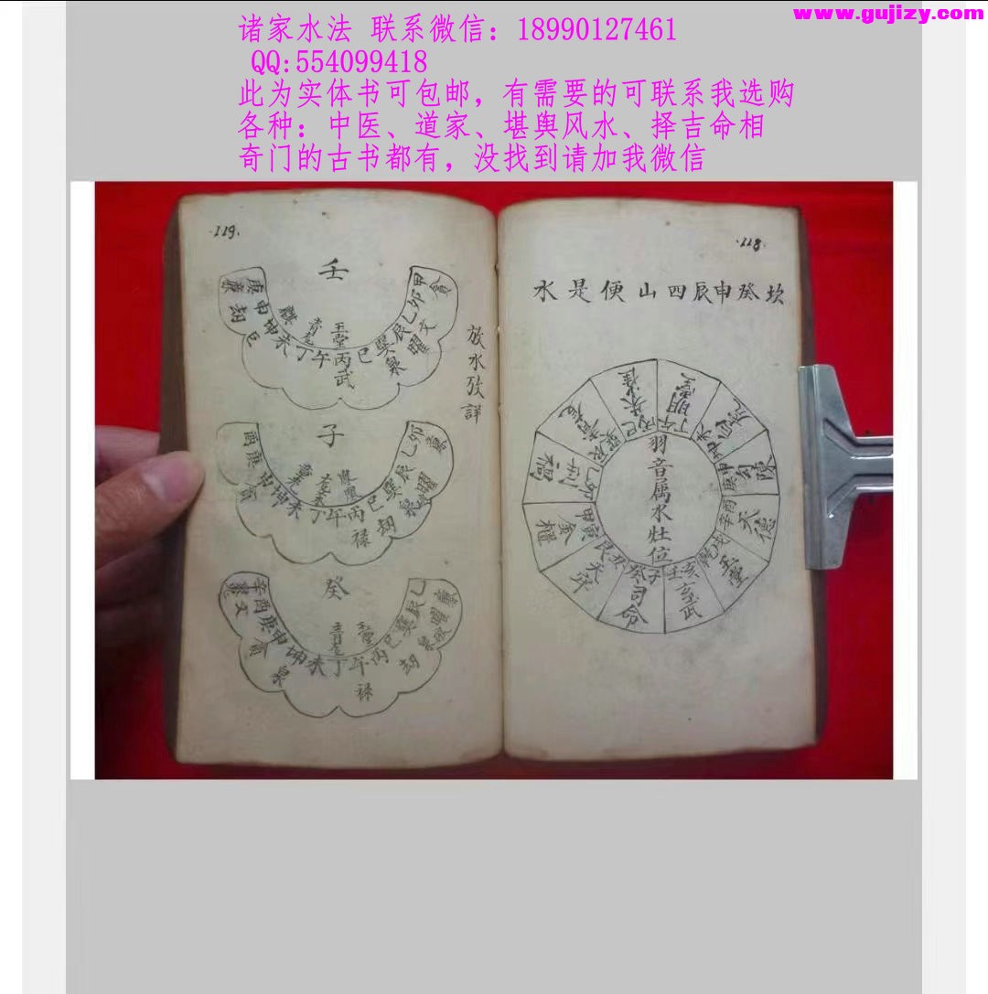 1723172152348.jpg