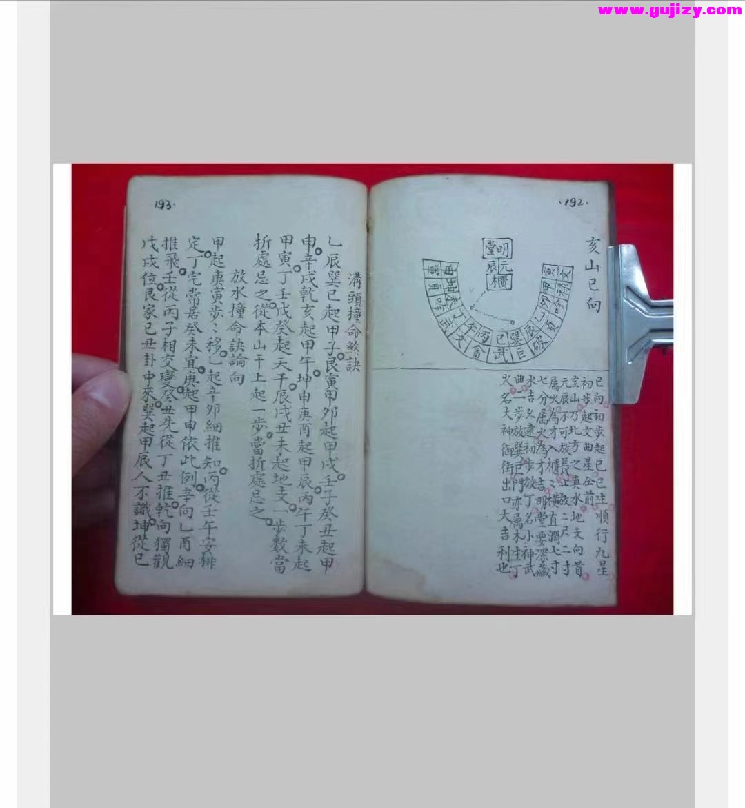 1723172159094.jpg