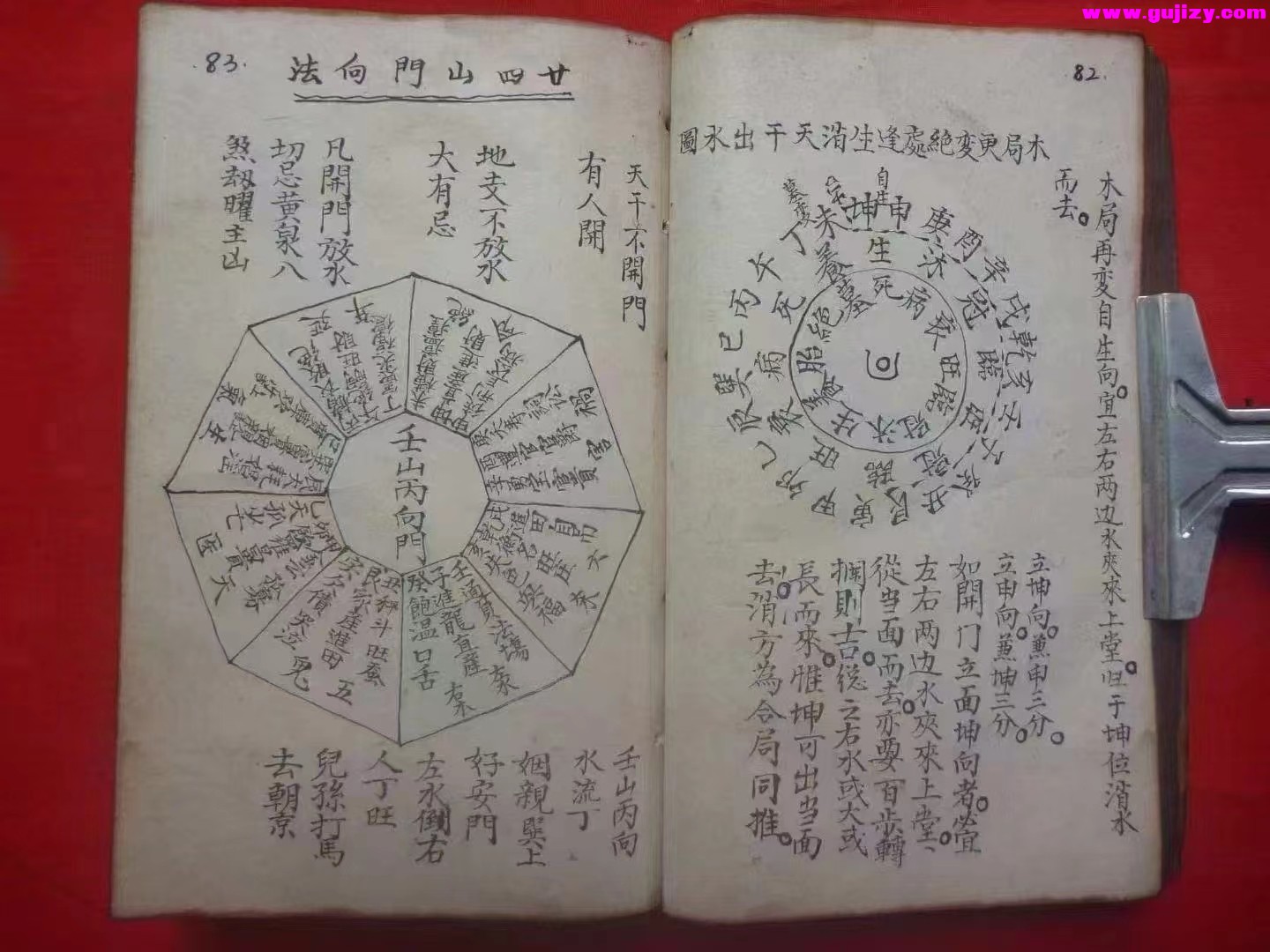 1725381073175.jpg