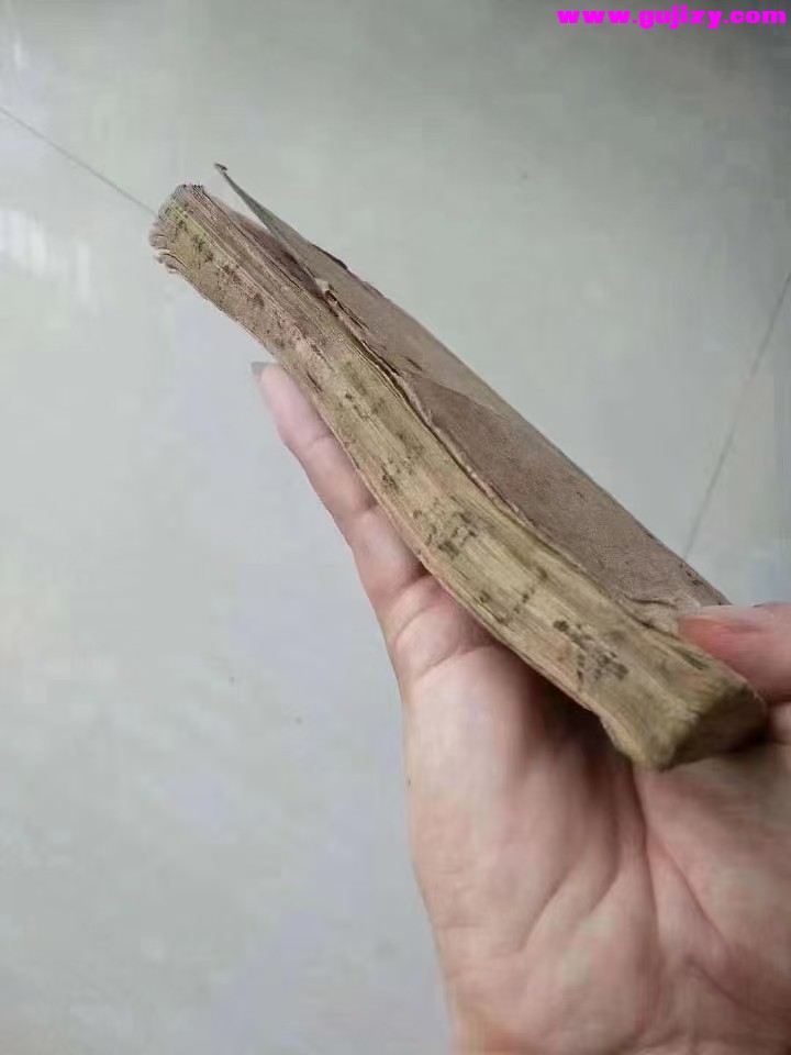 1737377150542.jpg