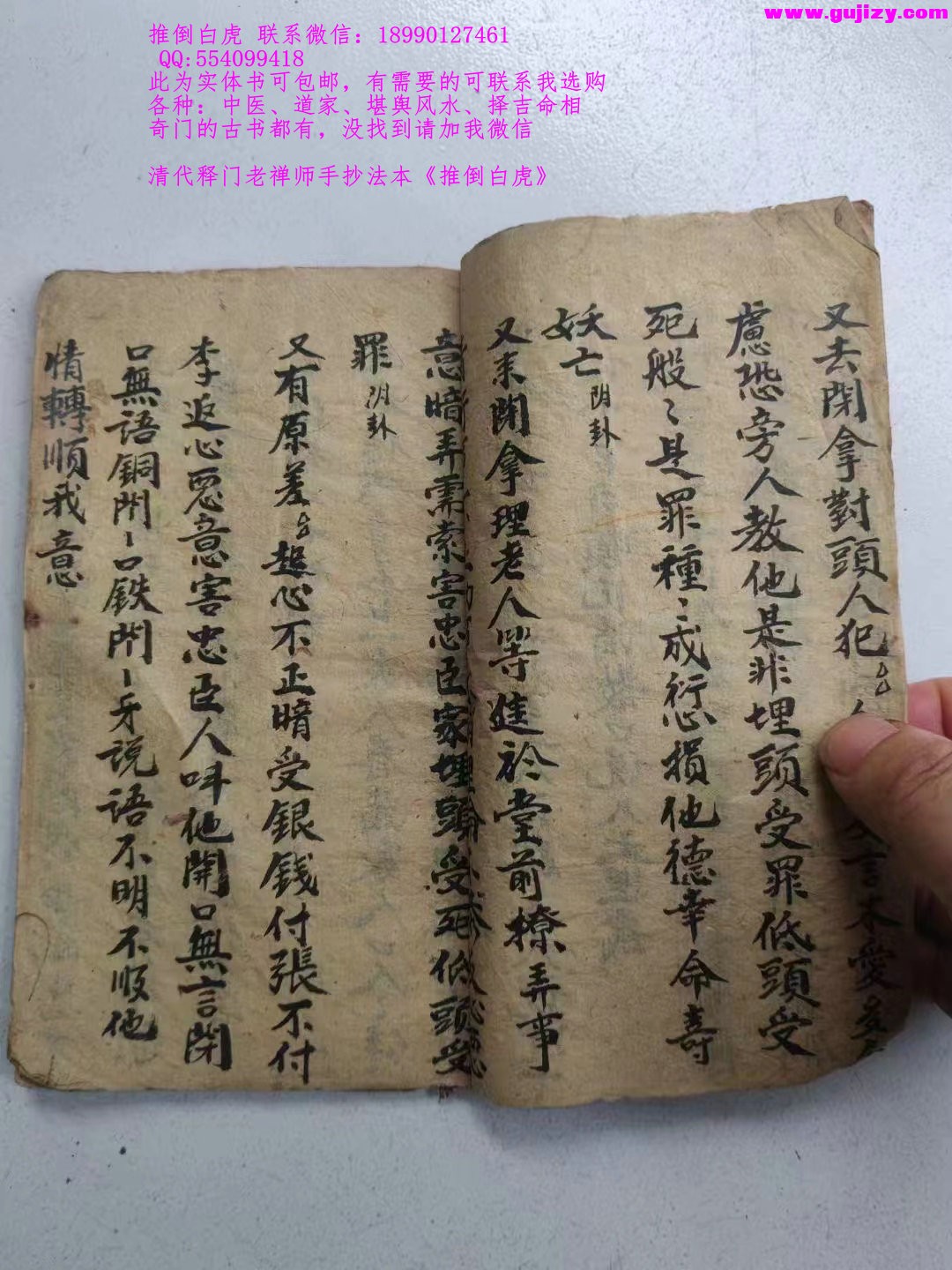 1722148411877.jpg