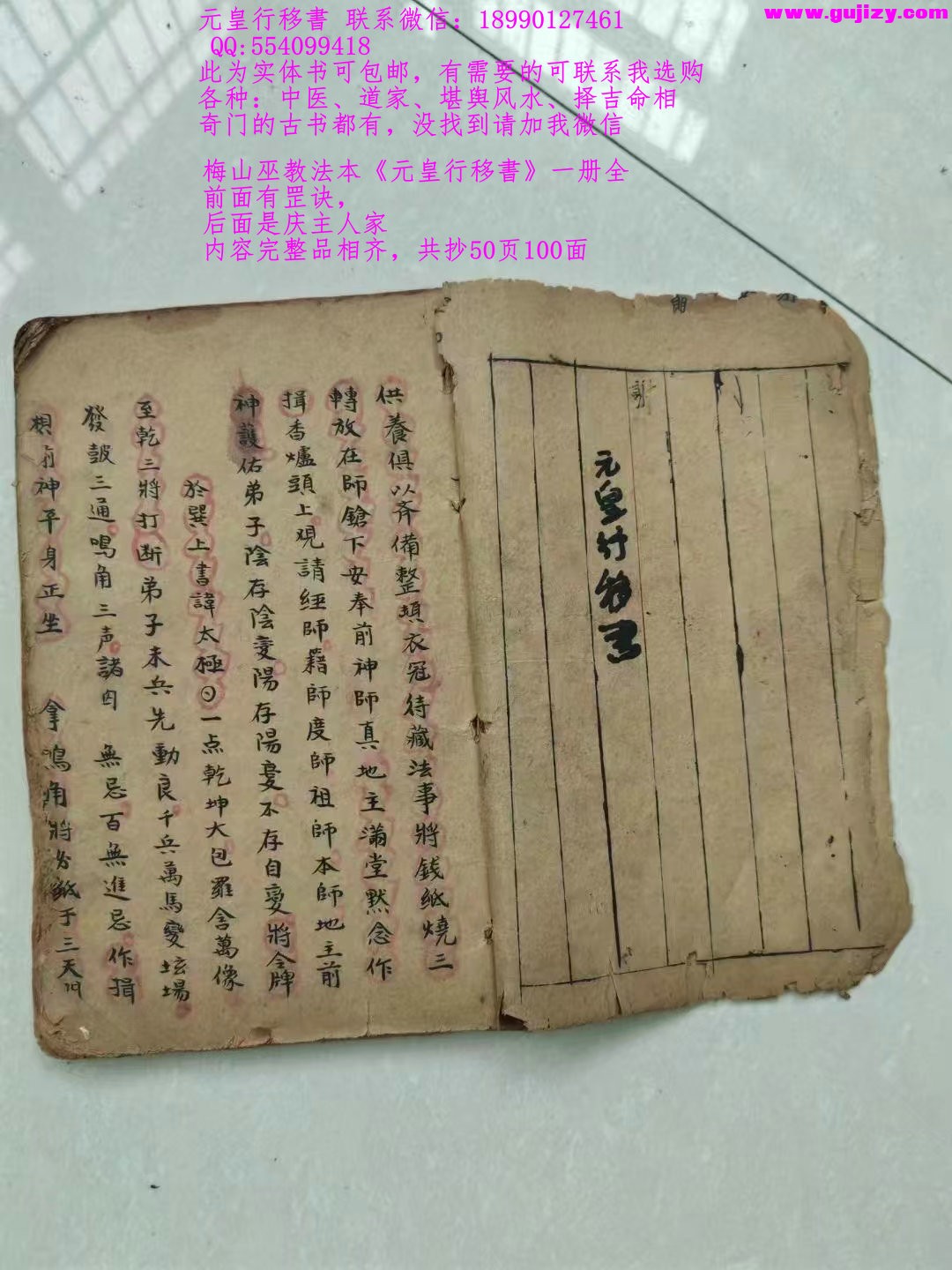 1739178072890.jpg
