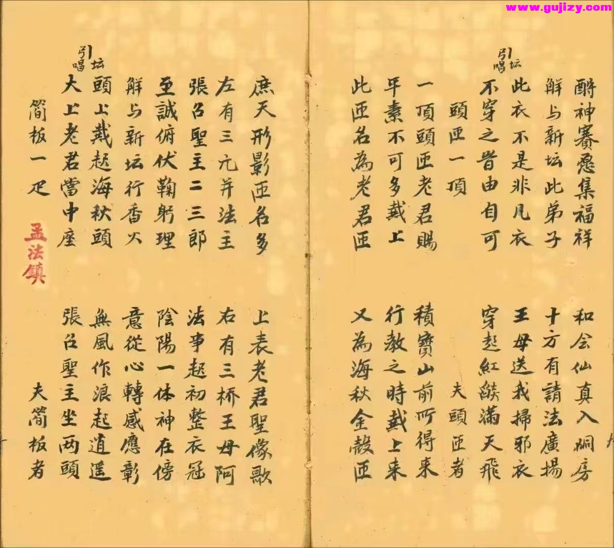 1739173890242.jpg