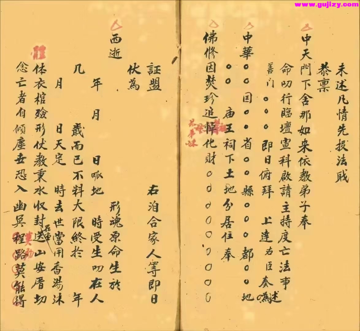 1739173902626.jpg