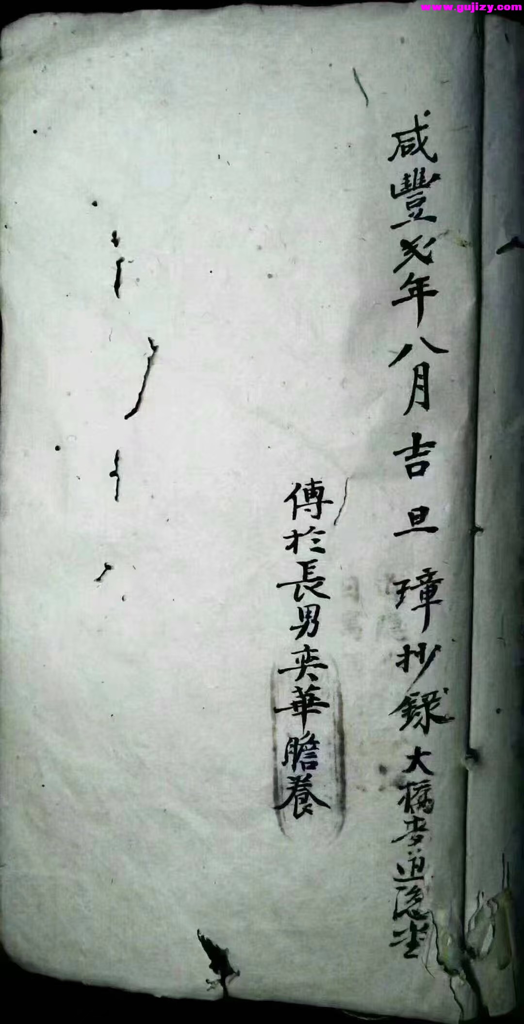 1738385130769.jpg