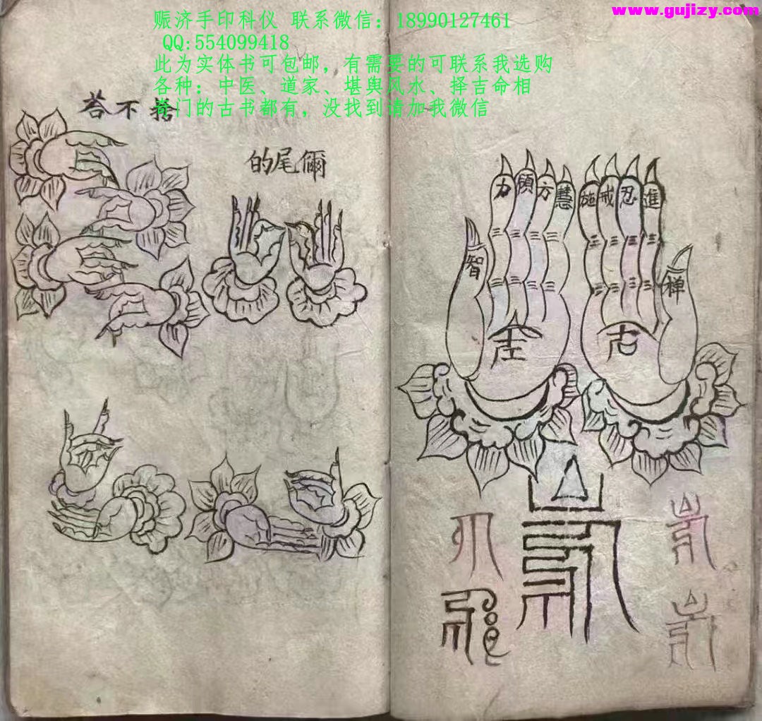 1723398786323.jpg