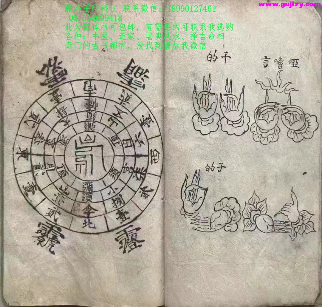 1723398784848.jpg