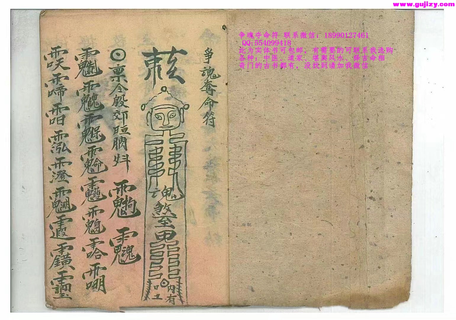1725298817578.jpg