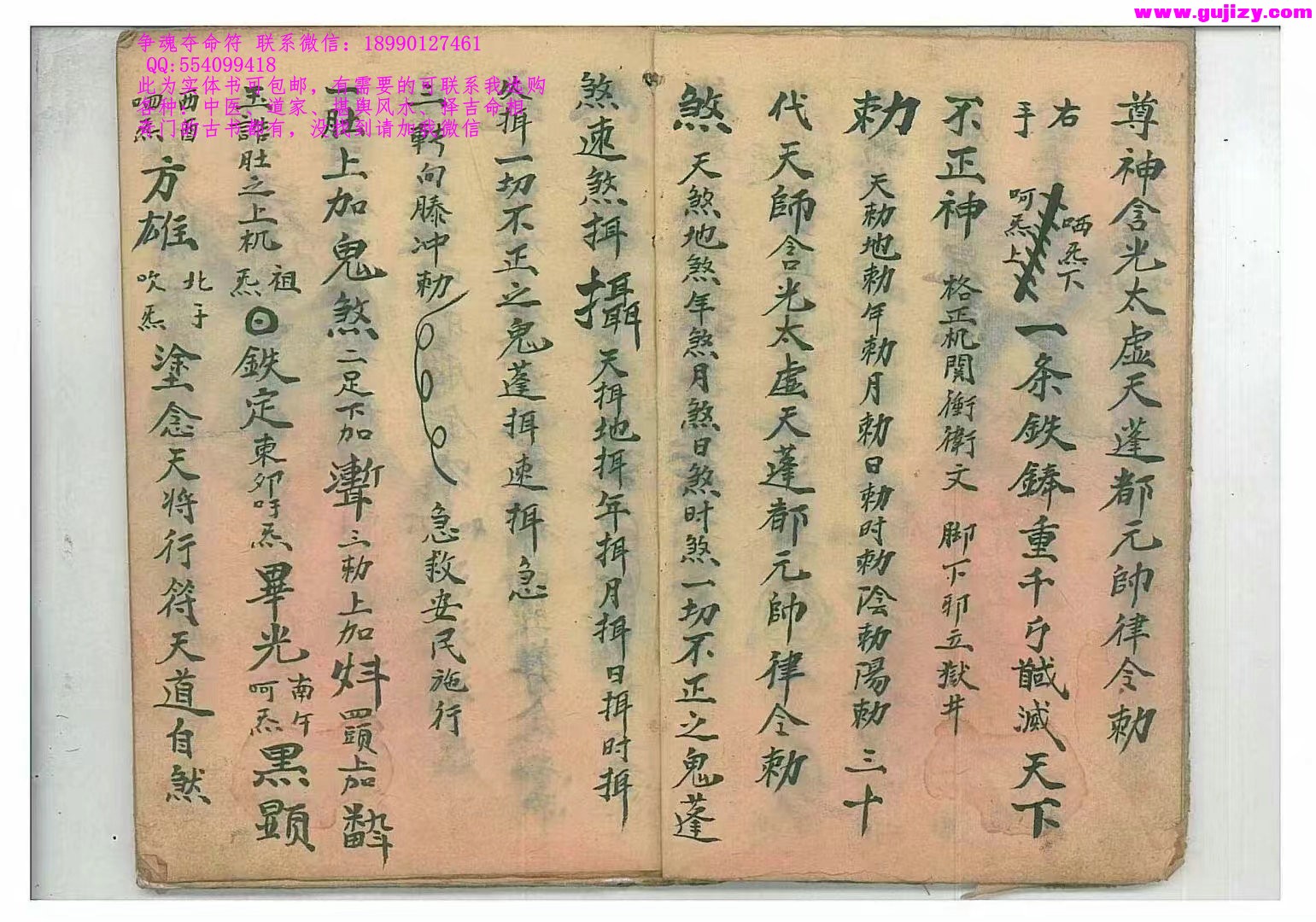 1725298819806.jpg