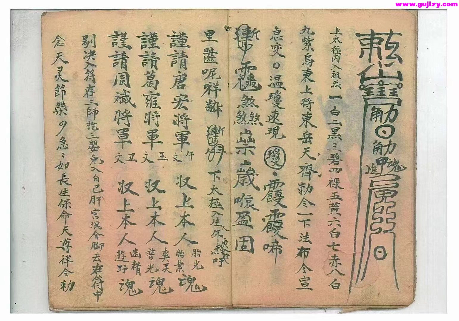 1725298826496.jpg
