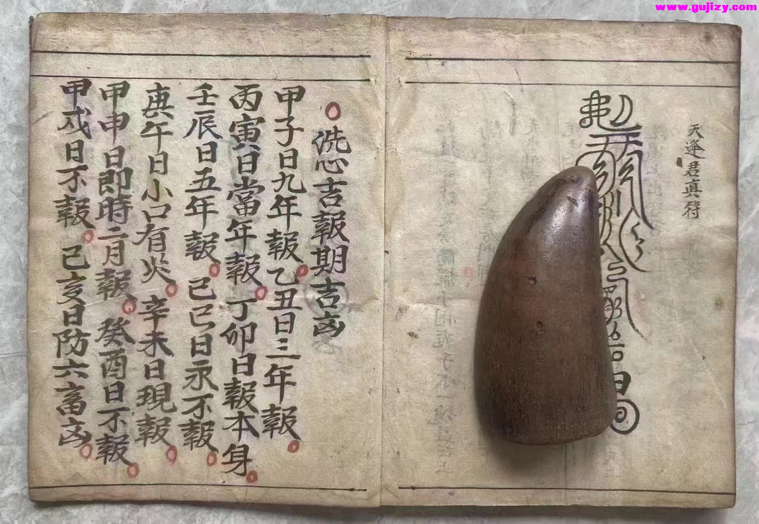 1723396009115.jpg