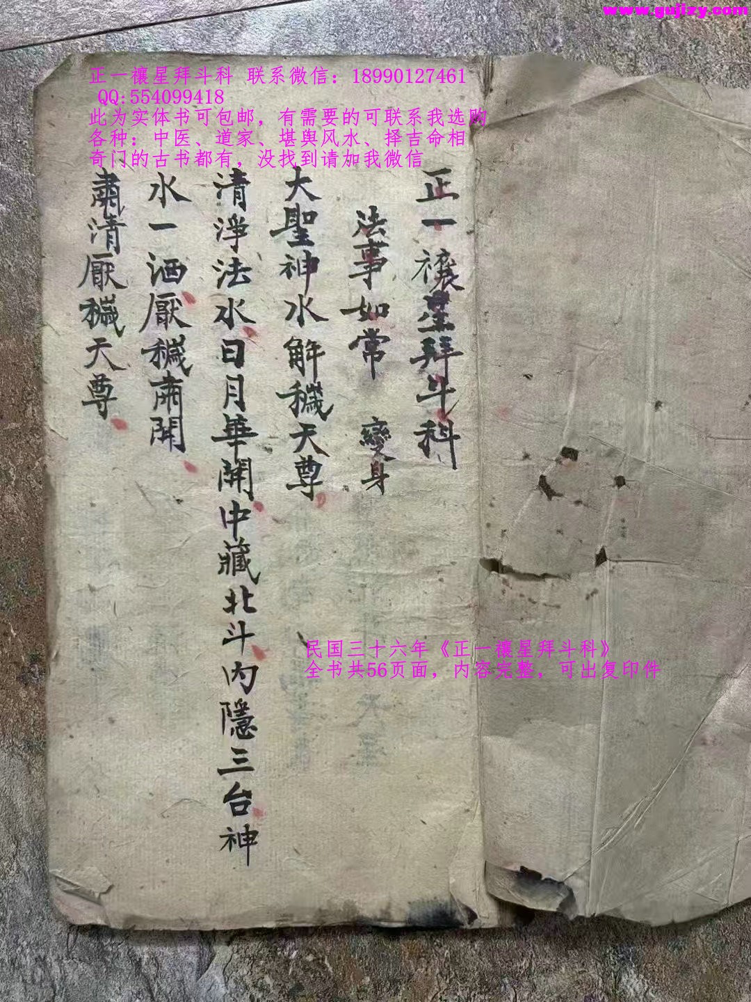 1739178174331.jpg