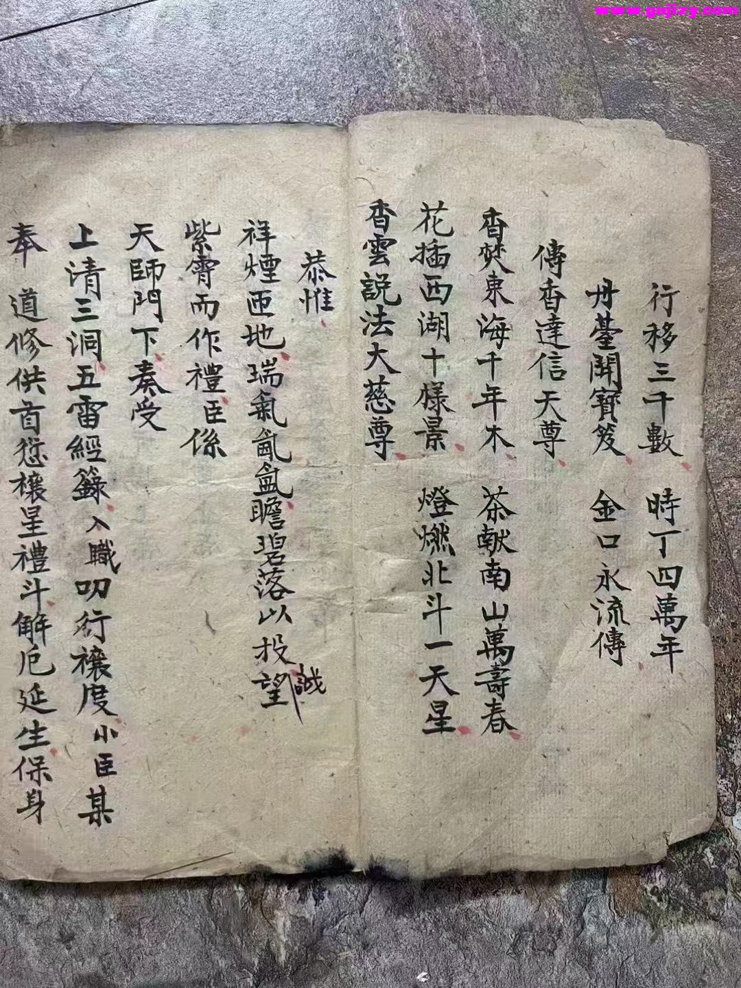 1739178175940.jpg