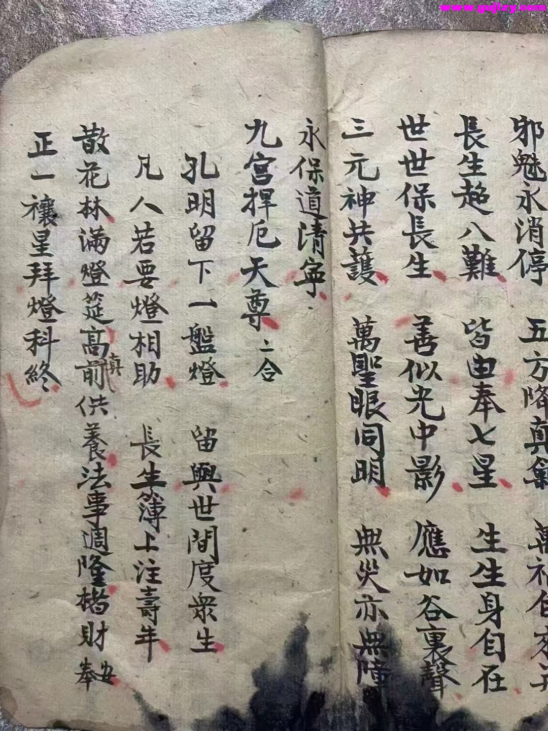 1739178187469.jpg