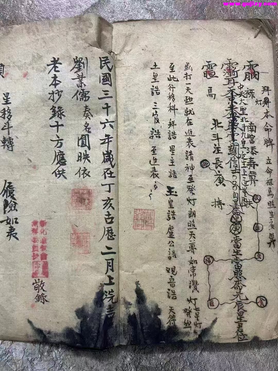 1739178189162.jpg