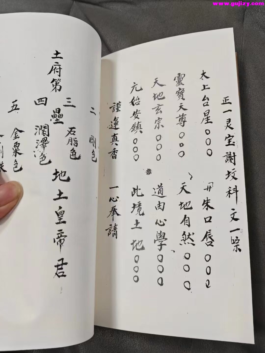 1737382019797.jpg