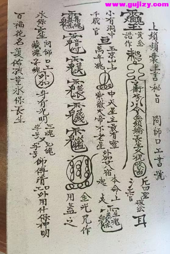 1739247978601.jpg