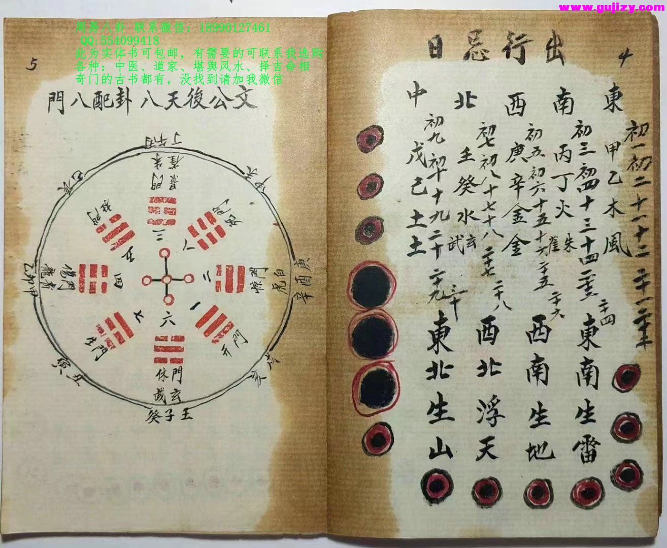 1723191431590.jpg