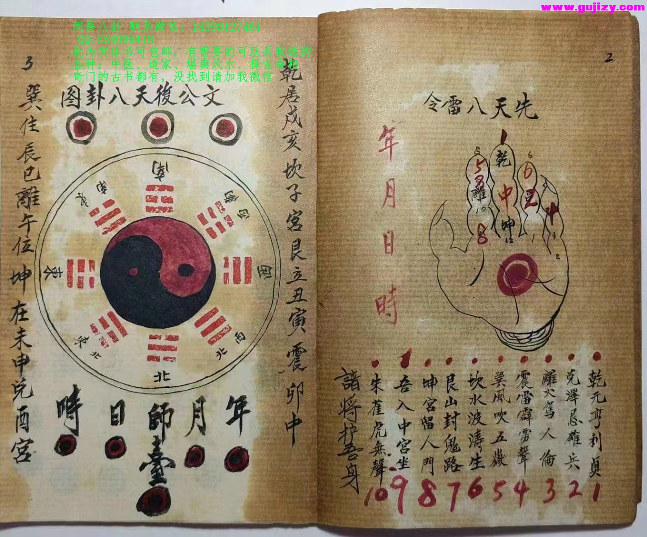 1723191432726.jpg