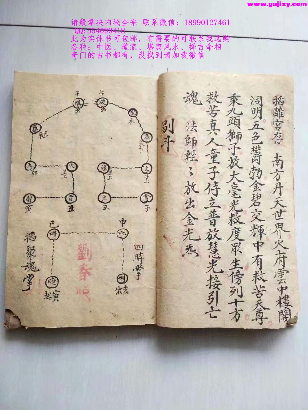1723190593545.jpg