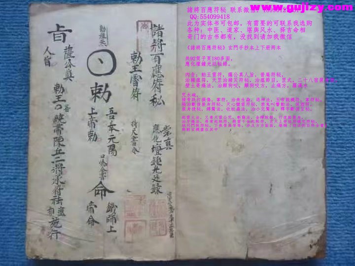 1739178284213.jpg