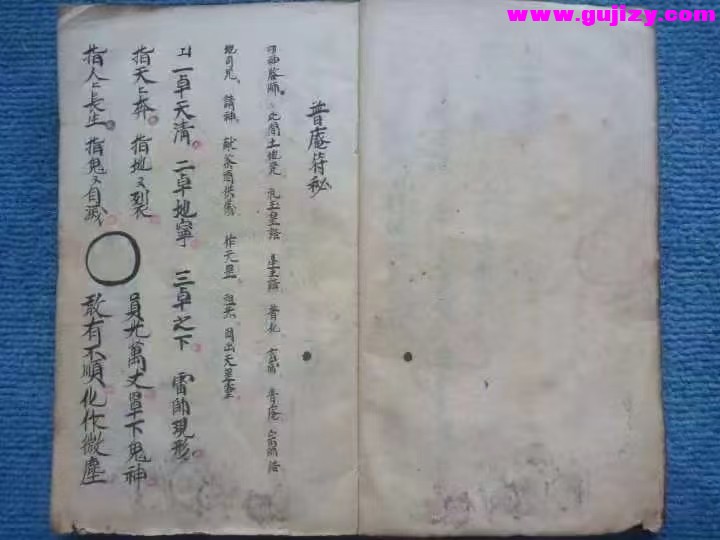 1739178297718.jpg