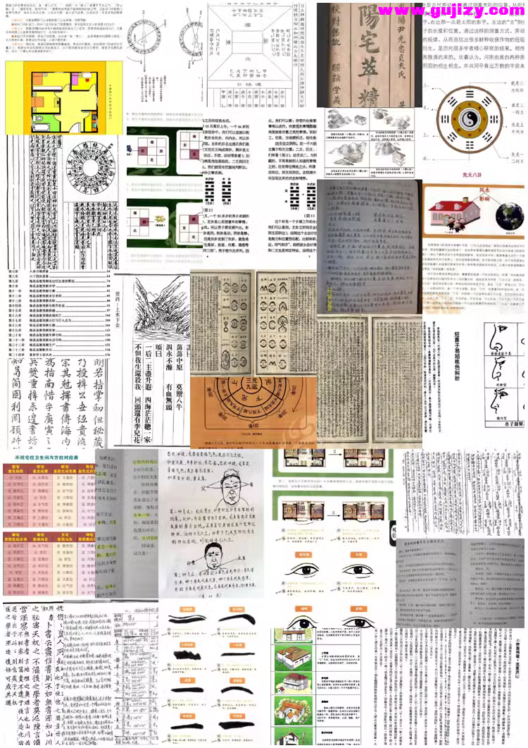 1739686268933.jpg