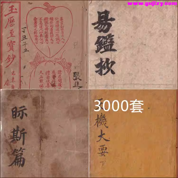 1739693526000.jpg