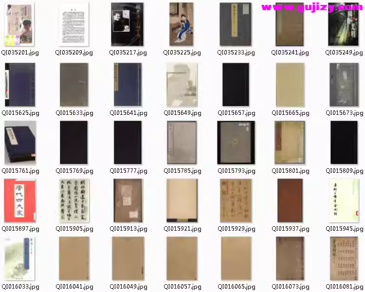 1739694168349.jpg