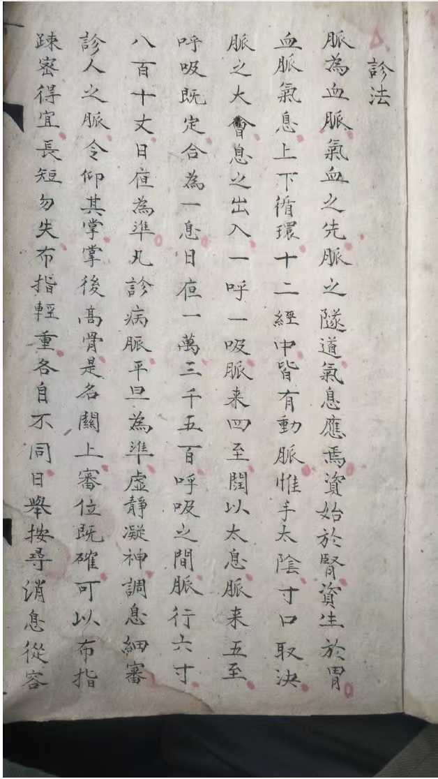 1752151301718.jpg