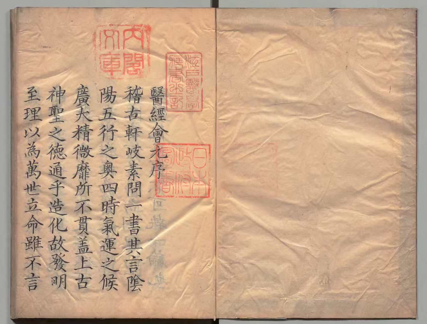 1752151513477.jpg
