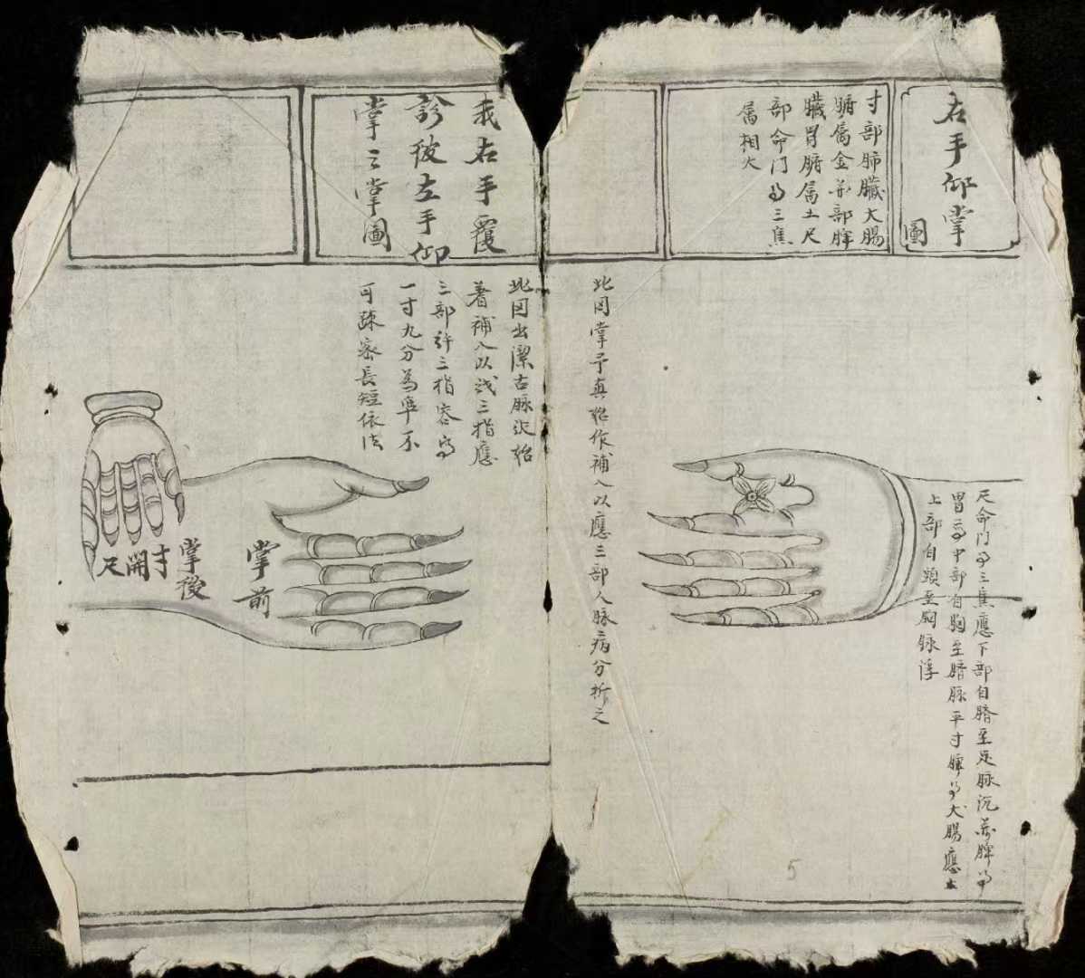 1752153263880.jpg