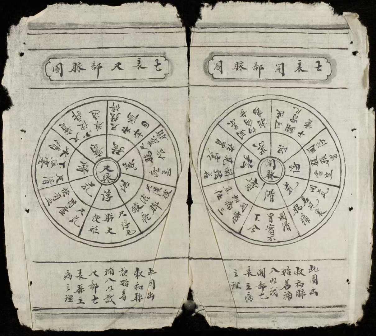 1752153269582.jpg